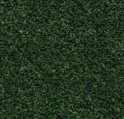 Coral Brush avocado green