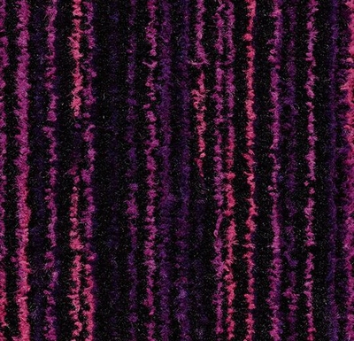 Coral Welcome 205 cm breed colour purple