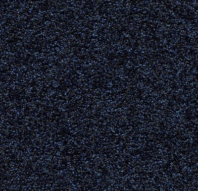 Coral de Luxe sapphire