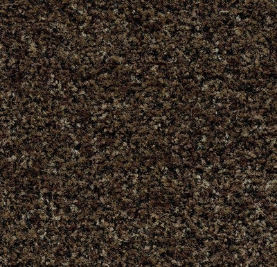 Coral Brush biscotti brown