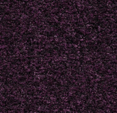 Coral Brush Byzantine purple