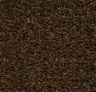 Coral Brush cinnamon brown