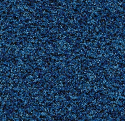 Coral Brush cornflower blue