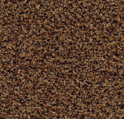 Coral Brush masala brown