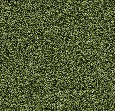 Coral Bright fresh grass