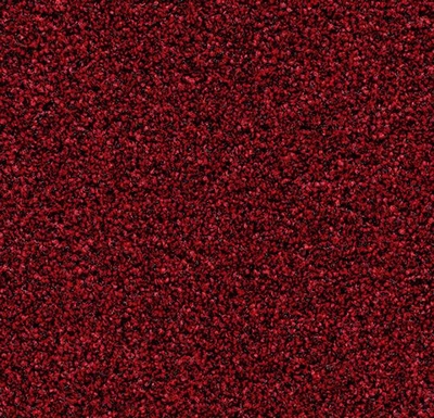 Coral Bright vivid earth