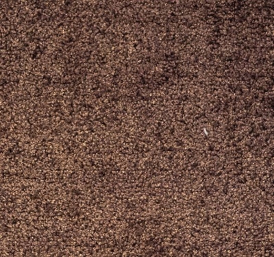 schoonloopmat voor pvc vloeren bruin