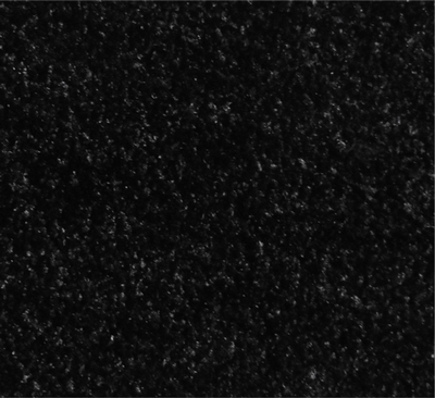 schoonloopmat voor pvc vloeren zwart