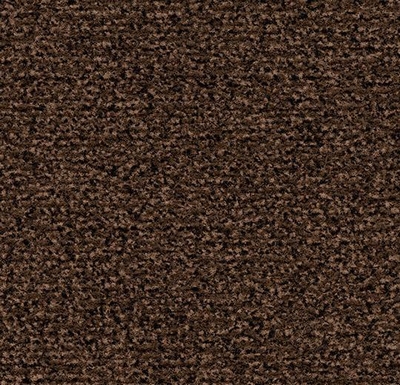 Coral Classic auburn