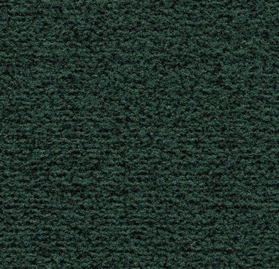 Coral Classic hunter grey