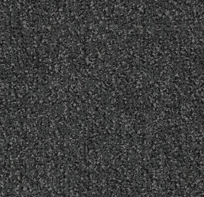 Coral Classic mouse grey