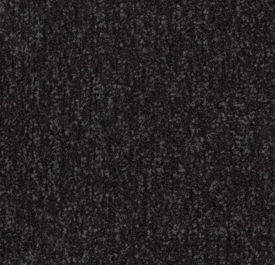 Coral Classic raven black