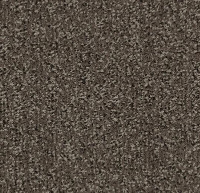 Coral Classic taupe
