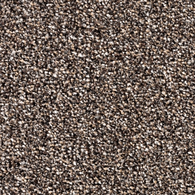 schoon/droog aktie brugge bruin