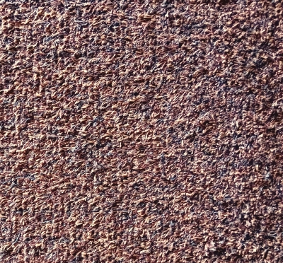 Aktie Droogloopmat Napels bruin